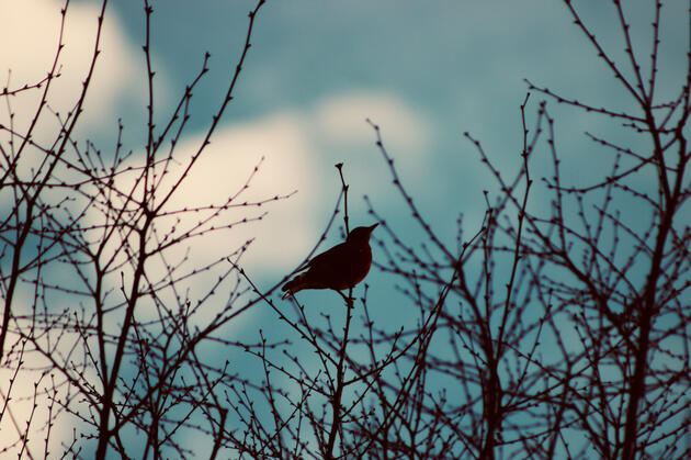 Untitled Untitled